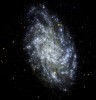 M33