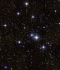 M41