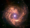 M61