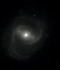 M91