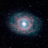 M95