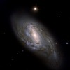 m66