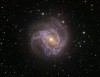 m83